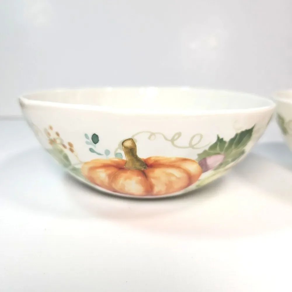 Pier 1 Soup Cereal Bowls Autumn Pumpkin Set of 2 Squash Gourd Fine China Ceramic